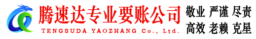 莱山要账公司